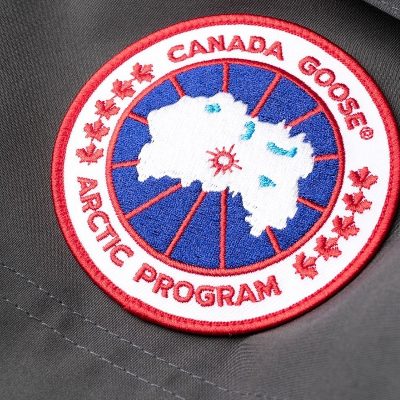 Canada Goose Expedition Padded Parka in graphite Down Jacket